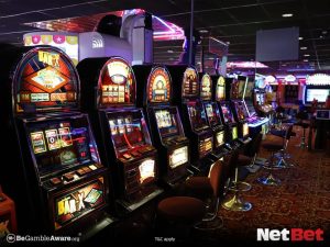 bub777 - App Bet Fácil
